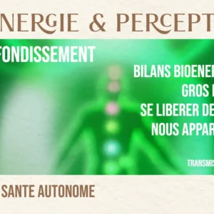formation de guérison Emergessence